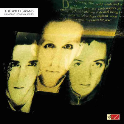 The Wild Swans - Bringing Home The Ashes (Limited Edition) - Music On Vinyl LP
